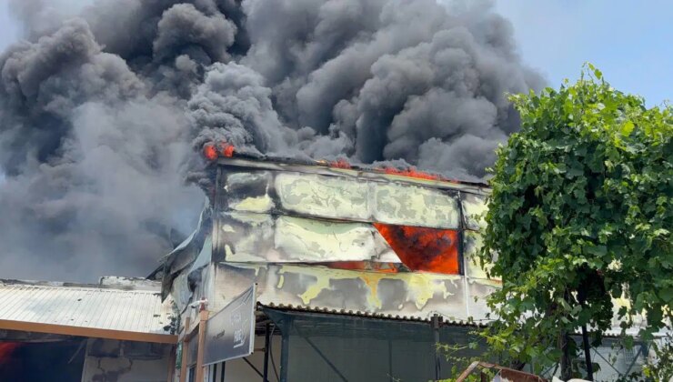 Antalya’da fide üretim tesisinde korkutan yangın: Seralara da sıçradı!