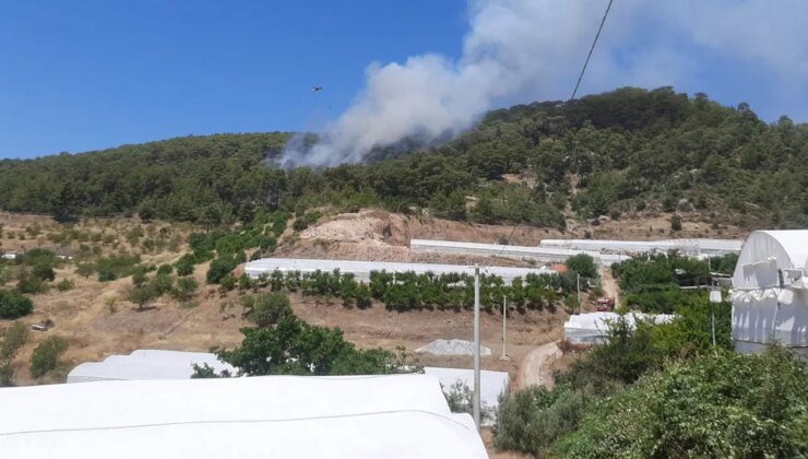 Antalya’da orman yangını: Havadan ve karadan müdahale başladı!