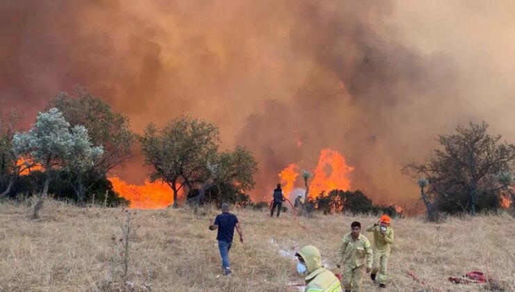 Aydın’da hafta sonu 11 yangın çıktı!