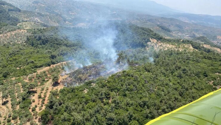 Aydın’da orman yangını!