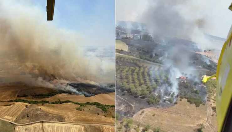 Balıkesir’de orman yangını!