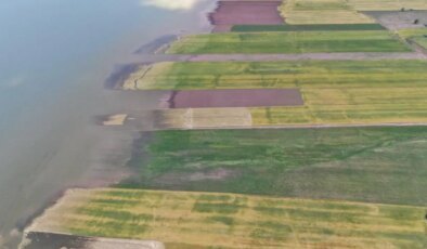 Baraj yükselince binlerce dönüm ekili alan su altında kaldı