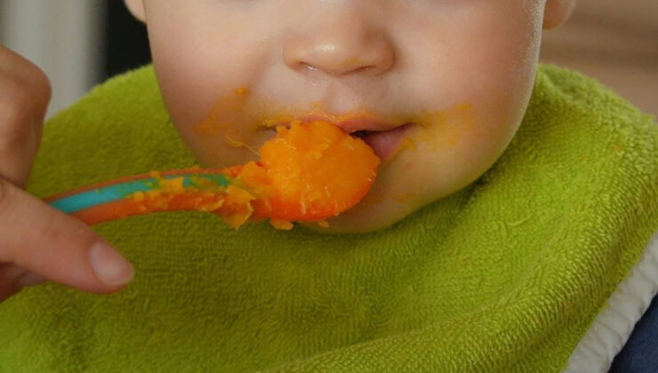 Bebeklere yönelik gıda ve devam formüllerinin üretiminde düzenleme