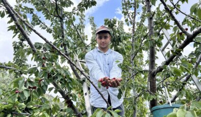 Benlidere’de hasat vakti: Tarlada 100 TL, pazarda 150 TL!