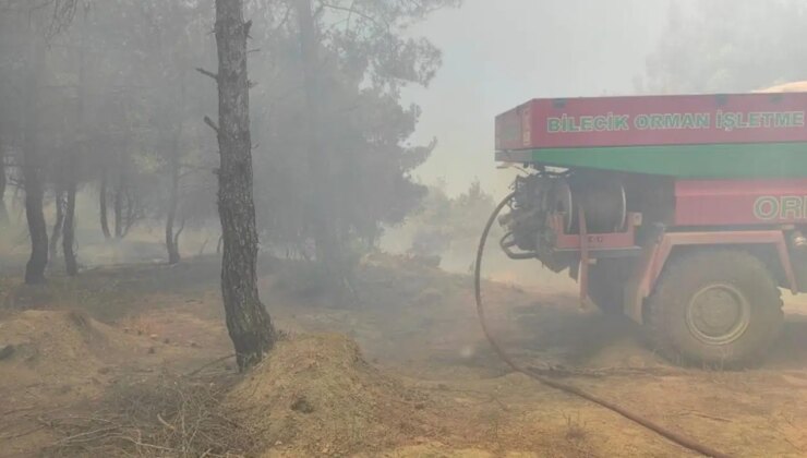 Bilecik’te orman yangını!