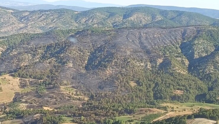 Bilecik’te orman yangını… Kontrol altına alındı!