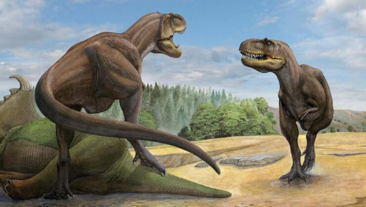 Bilim insanları, yeni bir dinozor türü keşfetti: Bildiklerimizi değiştirebilir