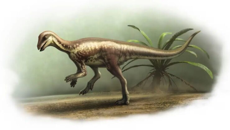 Bilim insanlarından yeni tür keşfi: Köpek benzeri dinozor bulundu