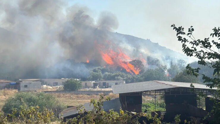 Bodrum’da yangın! Alevler yerleşim yerlerine doğru ilerliyor