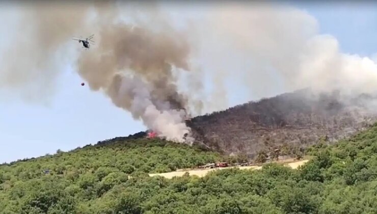 Bursa’da orman yangını: Karadan ve havadan müdahale!