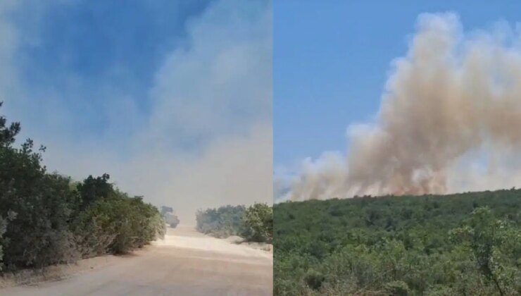 Bursa’da orman yangını: Karadan ve havadan müdahale!