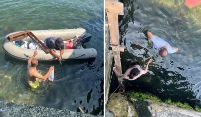 Büyükada’da 8 gün süren kedi kurtarma seferberliği: Sağ olarak ulaşıldı!