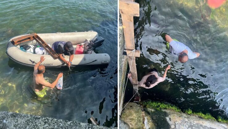 Büyükada’da 8 gün süren kedi kurtarma seferberliği: Sağ olarak ulaşıldı!