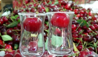 Çanakkale’de 10 bin ton rekolte elde edildi: Kilosu 700 TL