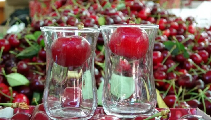 Çanakkale’de 10 bin ton rekolte elde edildi: Kilosu 700 TL