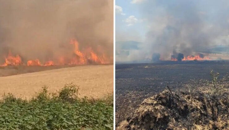 Çanakkale’de tarım arazisinde yangın paniği!