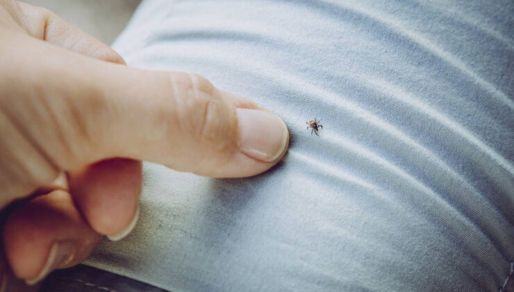 Çankırı’da acı olay: Kenenin ısırdığı 5 çocuk annesi hayatını kaybetti