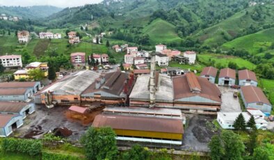 Çay fabrikasının bacasından çıkan kömür tozları çay bahçelerine yağıyor