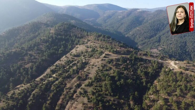 Cengiz’in siyanürlü altın madeni projesi, İDK toplantısının ardından durdurulmuştu: Kopyala-yapıştır ÇED