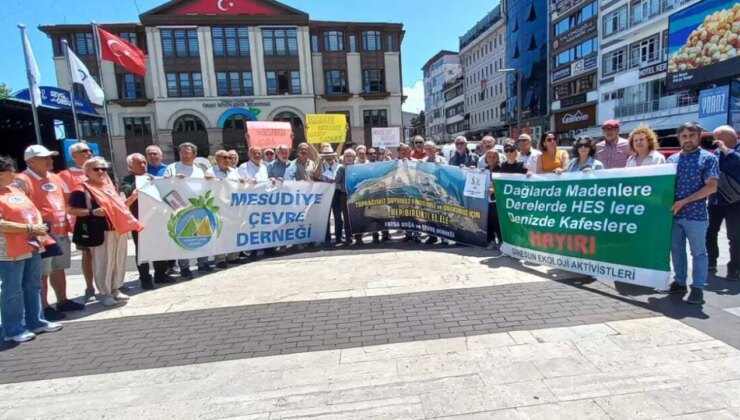 Çevre örgütlerinden ortak çağrı: ‘Doğa katliamına yol açacak yasa teklifleri geri çekilmeli’