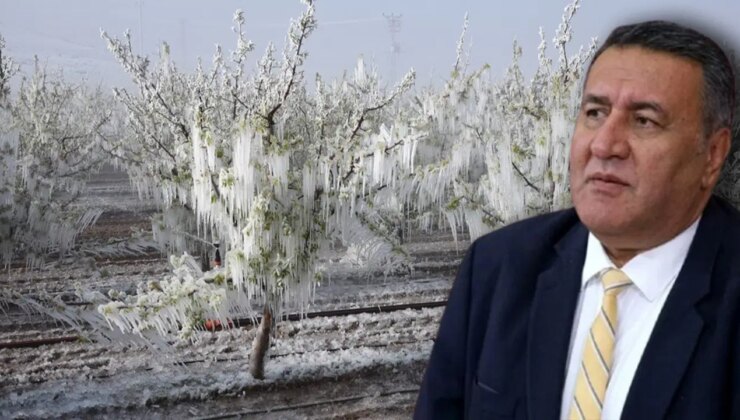 CHP’den hükümete zirai don çıkışı: ‘Herkes mağdur herkes çaresiz’