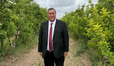 CHP’li Gürer: ‘Zeytinliklerin yerini kömür madenleri alacaksa, hem bugünümüzü hem de geleceğimizi kaybediyoruz demektir’