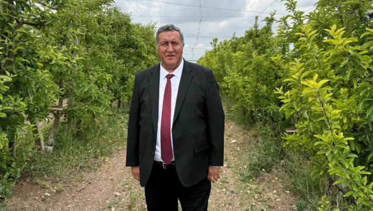 CHP’li Gürer: ‘Zeytinliklerin yerini kömür madenleri alacaksa, hem bugünümüzü hem de geleceğimizi kaybediyoruz demektir’