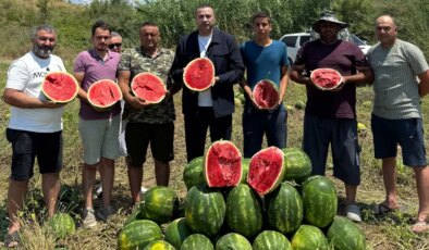 CHP’li Kaya: ‘Karpuz üreticisi kan ağlıyor, Tarım Bakanı sahaya inmeli’