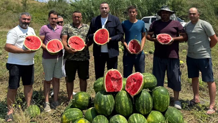 CHP’li Kaya: ‘Karpuz üreticisi kan ağlıyor, Tarım Bakanı sahaya inmeli’