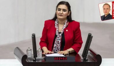 CHP’li Kış’tan vakıf protokolüne tepki: ‘Çevre faaliyetlerinin vakıf eliyle yürütülmesi, kamu yetkilerini zayıflatmıyor mu?’