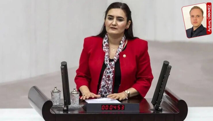 CHP’li Kış’tan vakıf protokolüne tepki: ‘Çevre faaliyetlerinin vakıf eliyle yürütülmesi, kamu yetkilerini zayıflatmıyor mu?’