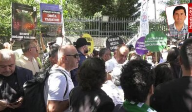 CHP’nin muhalefet şerhinde, zeytin ağaçlarının 10 yıllık kömüre feda edileceğine dikkat çekildi: Torbadan BAE çıktı