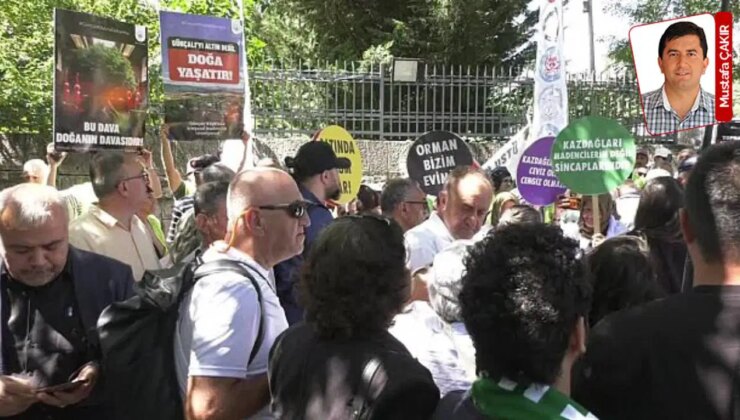 CHP’nin muhalefet şerhinde, zeytin ağaçlarının 10 yıllık kömüre feda edileceğine dikkat çekildi: Torbadan BAE çıktı