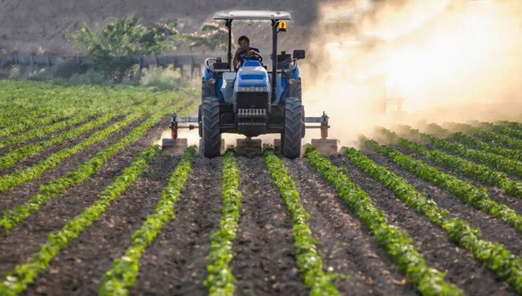 Çiftçi Sen: Her yıl bir önceki yıla göre daha kötü günlerin habercisi oluyor