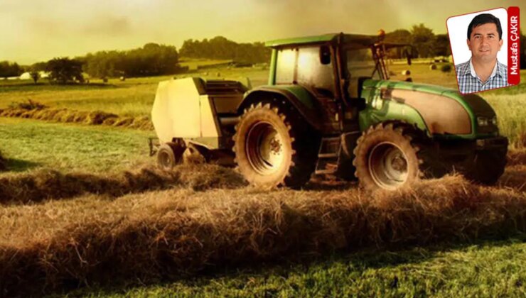 Çiftçiyi bir yanda bitmek tükenmek bilmeyen zamlar, diğer yanda ithalat vurdu: Tarım sektörü çıkmazda