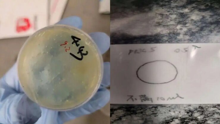 Çinli bilim insanına ‘kaçakçılık’ suçlaması: FBI gözaltına aldı