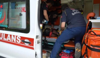 Çocuğunu kurtarmak isterken… Anne hayatını kaybetti, 2 oğlu hastaneye kaldırıldı