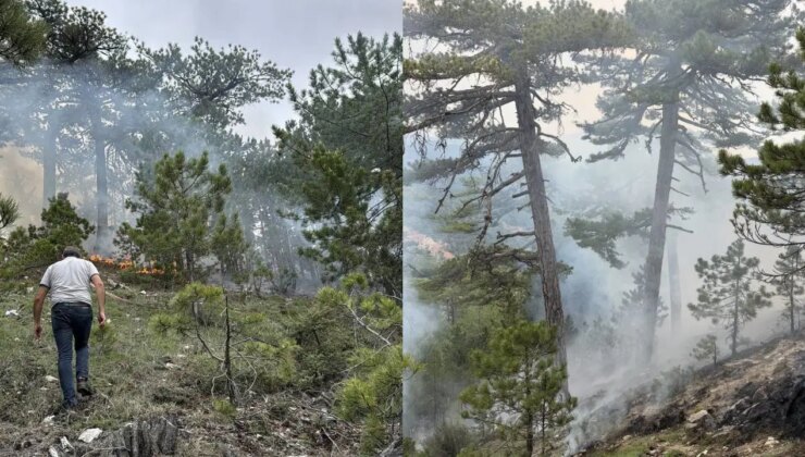 Denizli’de orman yangını: Yarım hektarlık alan zarar gördü!