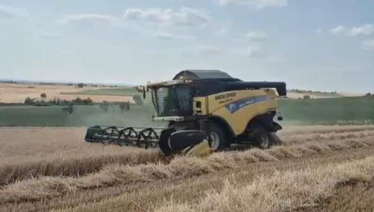 Edirne’de buğday hasadı, üreticinin yüzünü güldürdü