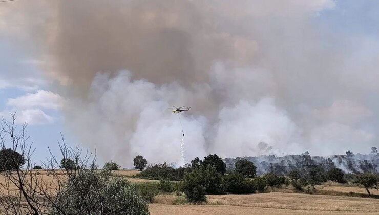 Edirne’de orman yangını