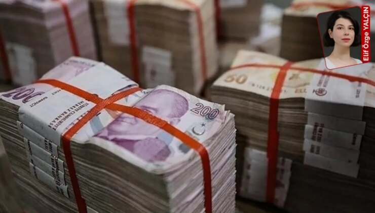 Ekonomistlere göre yeni teşvik sisteminin hedefi iş dünyasındaki tepkileri bastırmak: Siyasi ayarlı teşvik