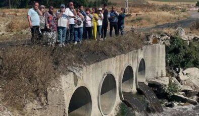 Ergene Nehri ‘kanser’ saçıyor: Ölüm kokuyor