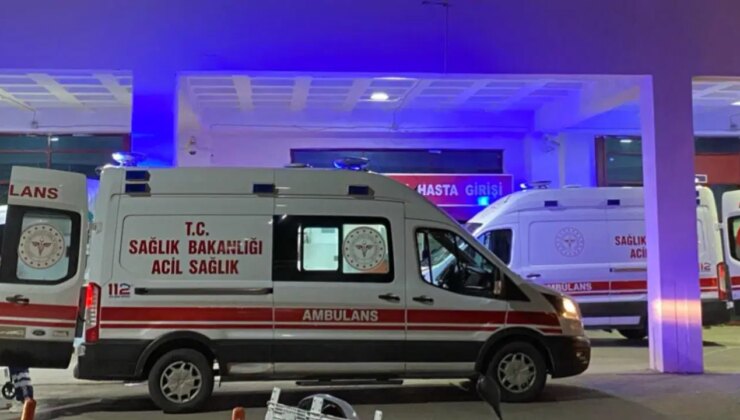 Eski muhtar arı sokması sonucu hayatını kaybetti