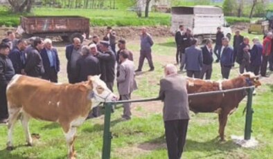 Fiyatlar yurttaşı bireysel kesim yerine bağış ve ortaklığa yöneltti: Kriz, geleneği değiştiriyor