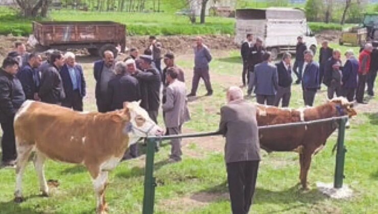 Fiyatlar yurttaşı bireysel kesim yerine bağış ve ortaklığa yöneltti: Kriz, geleneği değiştiriyor