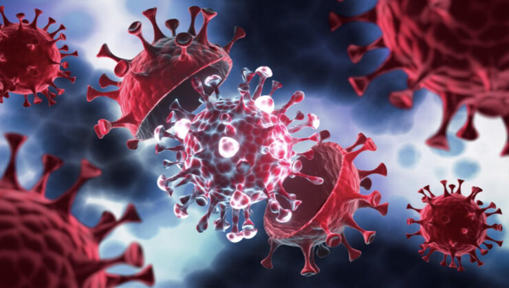 Gana’da 34 M-çiçeği vakası tespit edildi