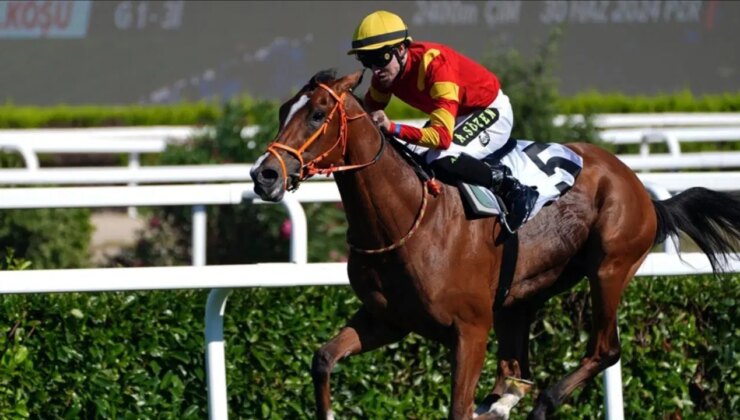 Gazi Koşusu ne zaman, saat kaçta? 99. Gazi Koşusu ödülü ne kadar?