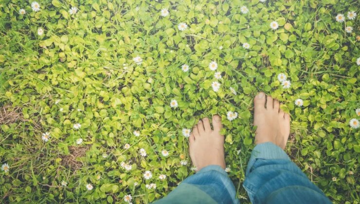 Gizli şifa kaynağı: Bu basit alışkanlık vücudu baştan aşağı yeniliyor