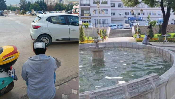 Havuza düşen kargayı kurtarmaya çalıştı: Diğer kargaların saldırısına uğradı!