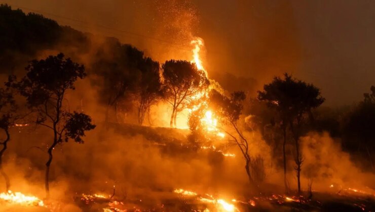 İletişim Başkanlığı’ndan yangınlara ilişkin açıklama: 3 günde 263 orman yangını çıktı!